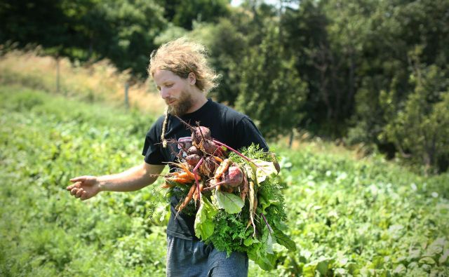 Vsaka država bo morala obseg površin za ekološko kmetijstvo povečati na 25 odstotkov. V Sloveniji je ta delež desetodstoten. FOTO: Jure Eržen