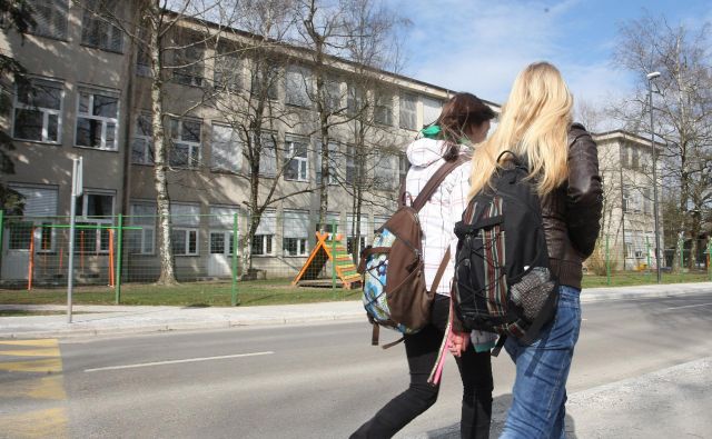 Na MOL pravijo, da s pripojitvijo OŠ Bičevje k OŠ Kolezija rešujejo kadrovsko in prostorsko problematiko. Foto: Igor Zaplatil