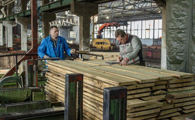 Interventni zakoni niso posegli v določila delavske zakonodaje, dopust pa mora biti nemoteno zagotovljen, pravijo na inšpektoratu in pravniki. FOTO: Voranc Vogel