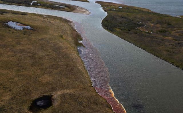 Gorivo je onesnažilo zelo občutljiv ekosistem nižinskih rek v severni Sibiriji. FOTO: Irina Jarinska/AFP