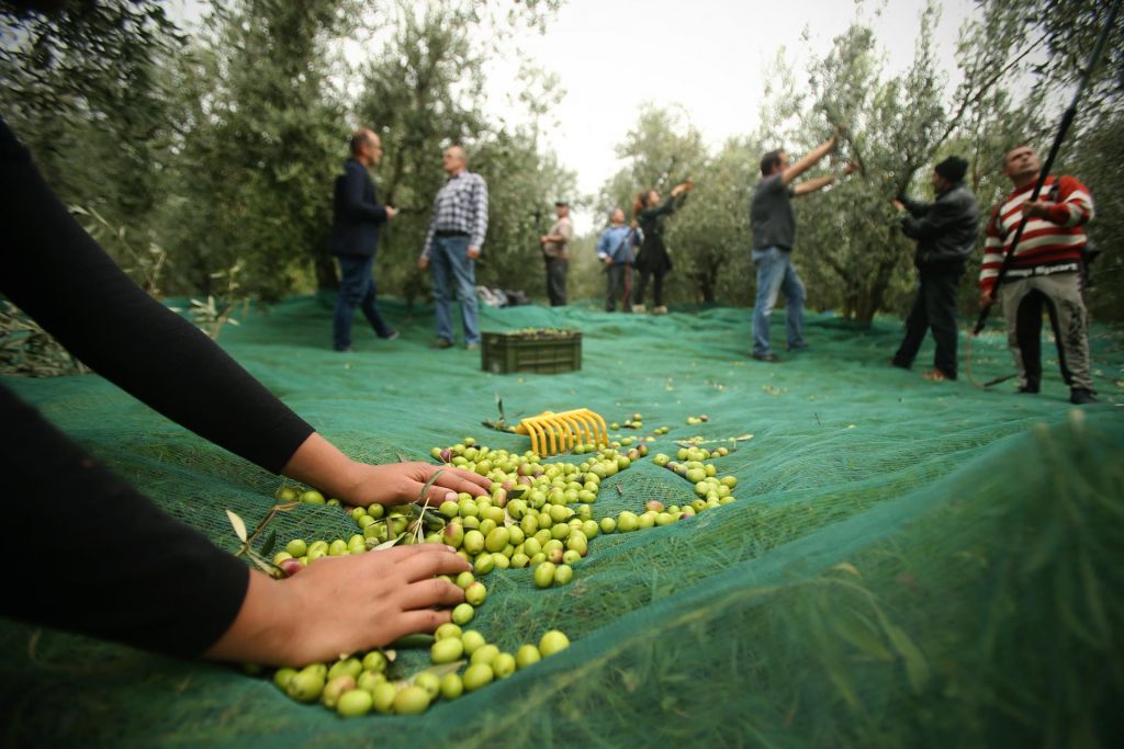 FOTO:Dieta, po kateri lahko hujšamo brez slabe vesti