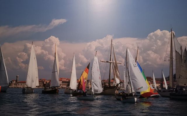 Regata lesenjač pred Piranom. FOTO: Ubald Trnkoczy