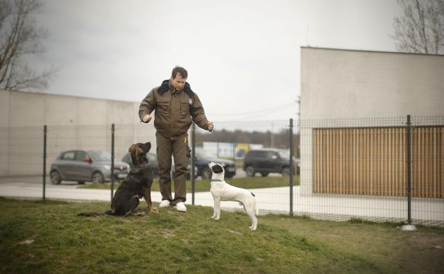 V času epidemije so lahko oboleli ljudje ali tisti, ki niso zmogli skrbeti zanje, svoje ljubljenčke pripeljali v Gmajnice. FOTO: Jure Eržen/Delo