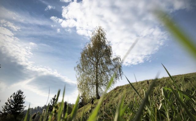 Diagnoza rak ti da misliti, kaj je v življenju pomembno in kaj ne. FOTO Jure Eržen/Delo