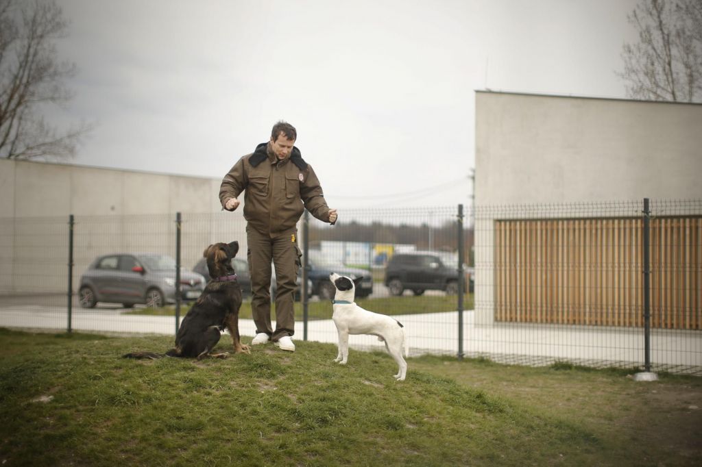 FOTO:Izolatorij za kužne živali na Barju