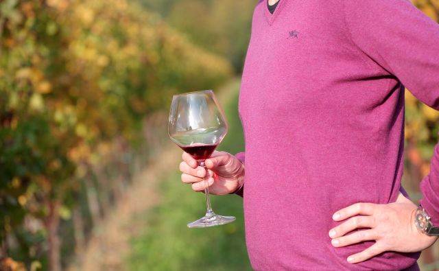 Člani Evropskega reda vitezov vina so opozorili na zaskrbljujoče razmere glede slovenskega vina. FOTO: Mavric Pivk/Delo