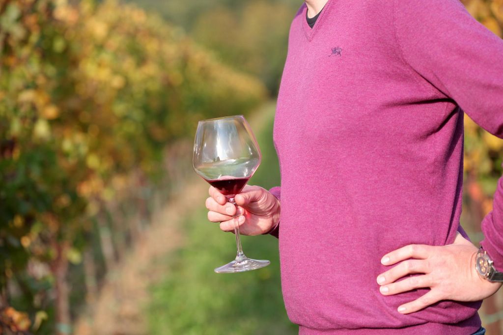 »Vprašanje, če bomo čez 20 let sploh uživali slovensko vino«