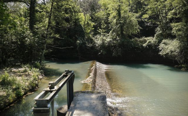 Vodno zajetje Rižana ne zadostuje za zagotovitev preskrbe z vodo v slovenski Istri. FOTO: Uroš Hočevar/Delo