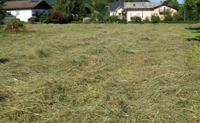 Najprej bodo sredi Moravč pospravili seno, nato pa začeli postavljati zidake za dom. FOTO: Bojan Rajšek/Delo