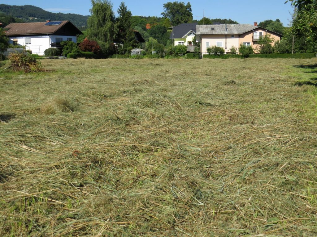 Koncesionarja pričakujejo z odprtimi rokami