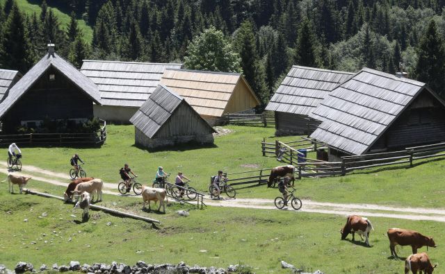 FOTO: Dejan Javornik/Slovenske novice