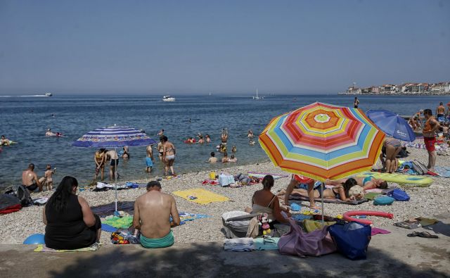 Obala pri vavčerjih prednjači. FOTO: Blaž Samec/Delo