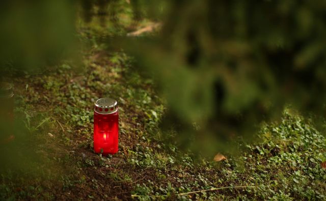 Fotografija je simbolična. FOTO: Jure Eržen/Delo