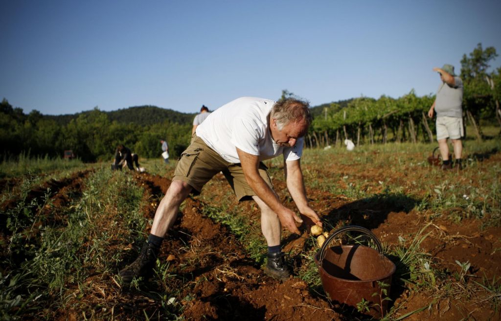 Slovenski kmetje zahtevajo pošteno plačilo za svoje pridelke