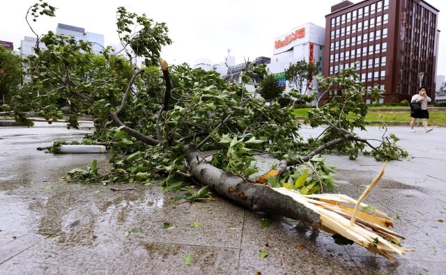 Na Japonskem je tajfun lomil drevesa in sprožal zemeljske plazove, tako kot na posnetku iz mesta Fukuoka. FOTO: Kyodo Kyodo/Reuters