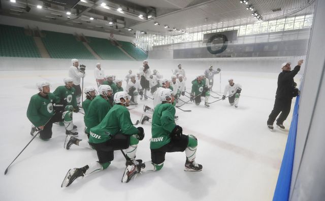 Ljubljančani so uspešno začeli poletno hokejsko ligo na Bledu. FOTO: Leon Vidic