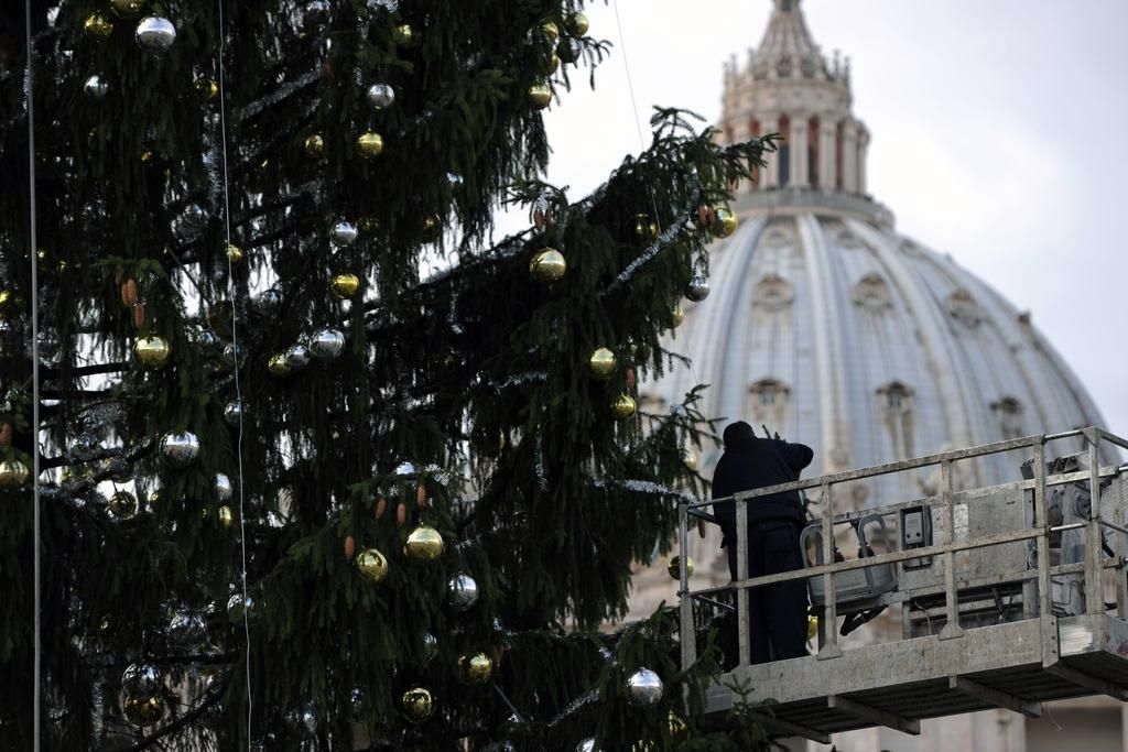 Pivčeva vladi predlaga postavitev slovenske božične smreke v Vatikanu