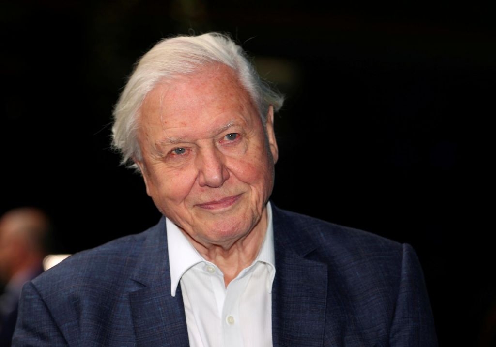 Attenborough je med pandemijo sedel na vrtu in se pridružil instagramu