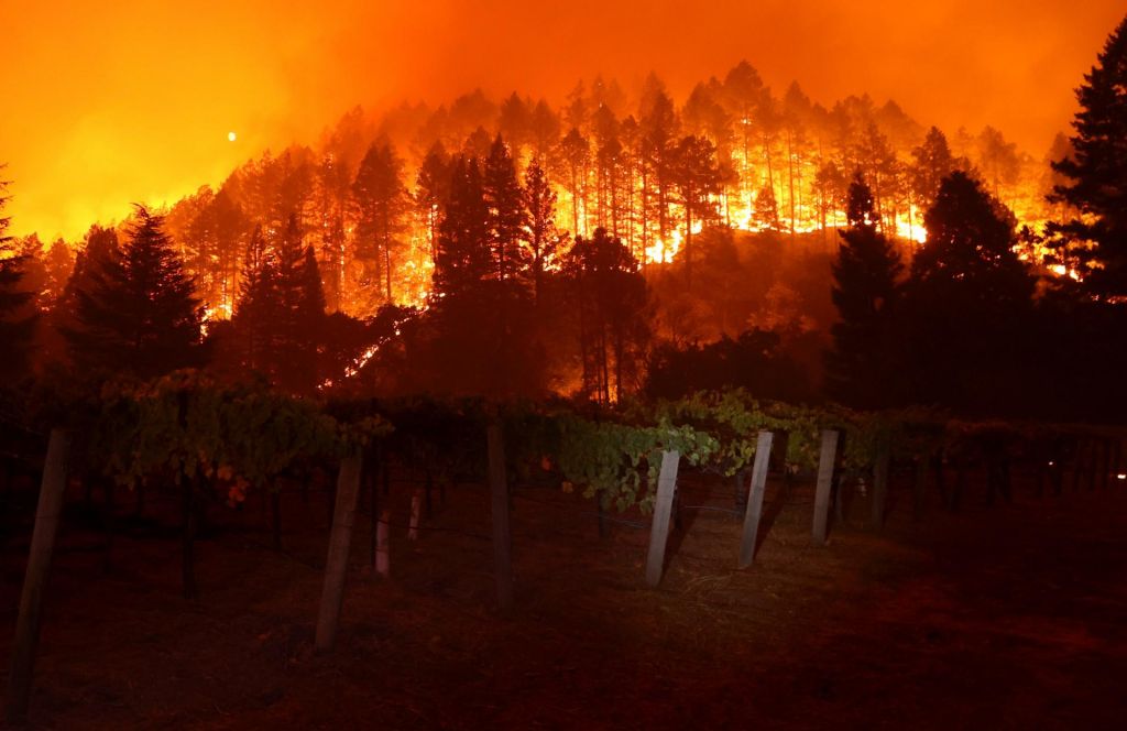 FOTO:Ognjeni zublji zajeli vinska območja Kalifornije