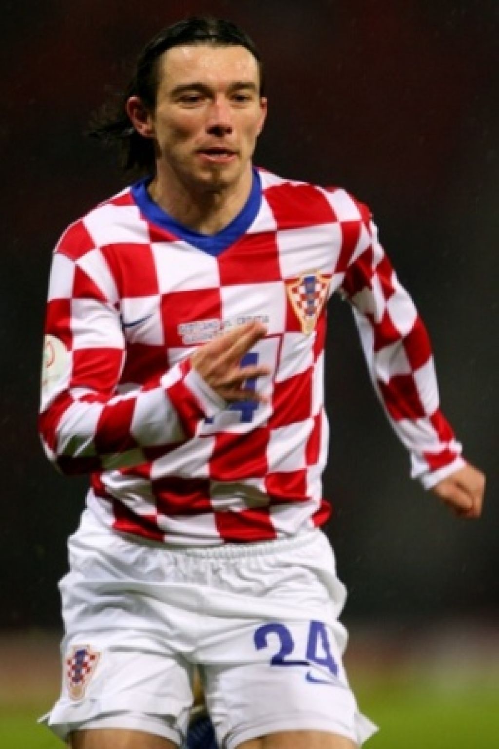 Pranjić se seli v Bayern