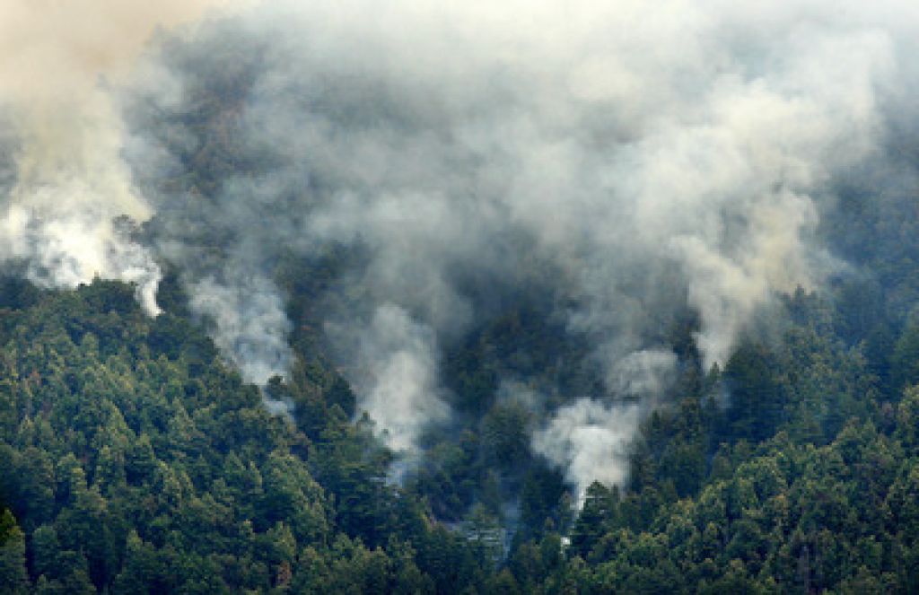 Požar zajel Big Sur