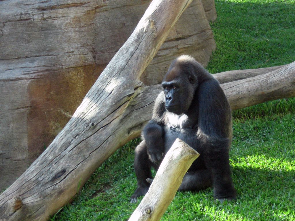 Fotografska razstava Fuengirola zoo
