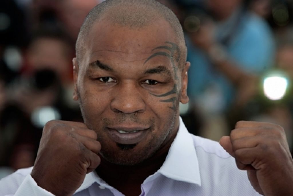 Tyson knockoutiral paparaca