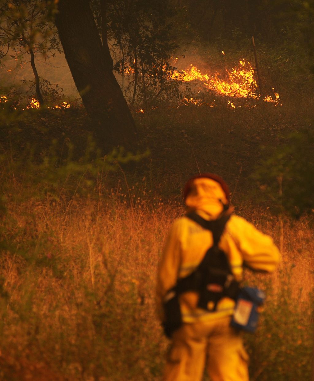 FOTO: Po Kaliforniji divjajo požari