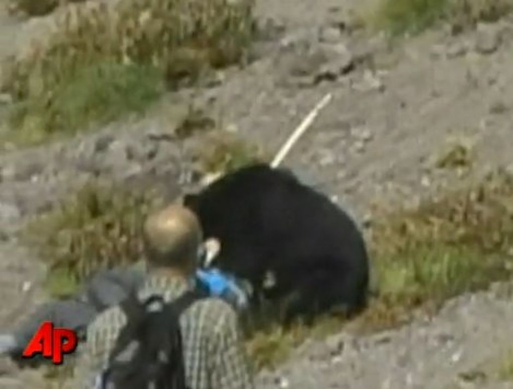 VIDEO: Črni medved napadel turiste