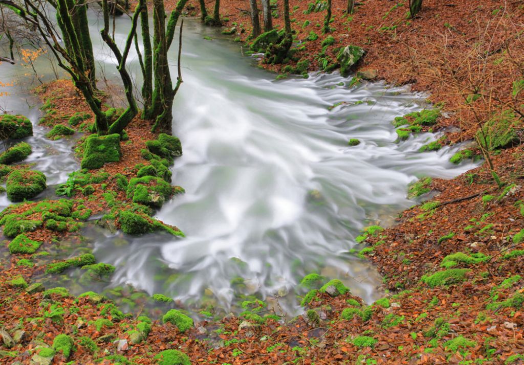 Slovenska reka
