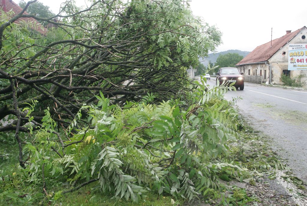 Neurje podiralo drevesa v severovzhodni Sloveniji