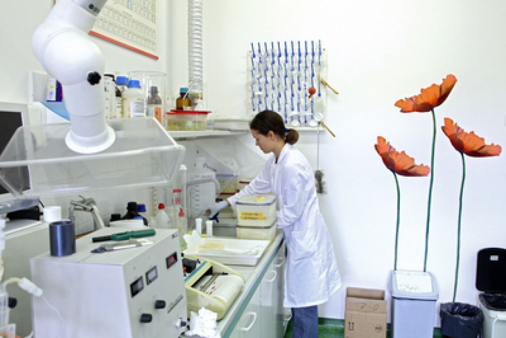 Poslovne ideje za dober posel: bo Podjetna Primorska našla zdravilo za raka?