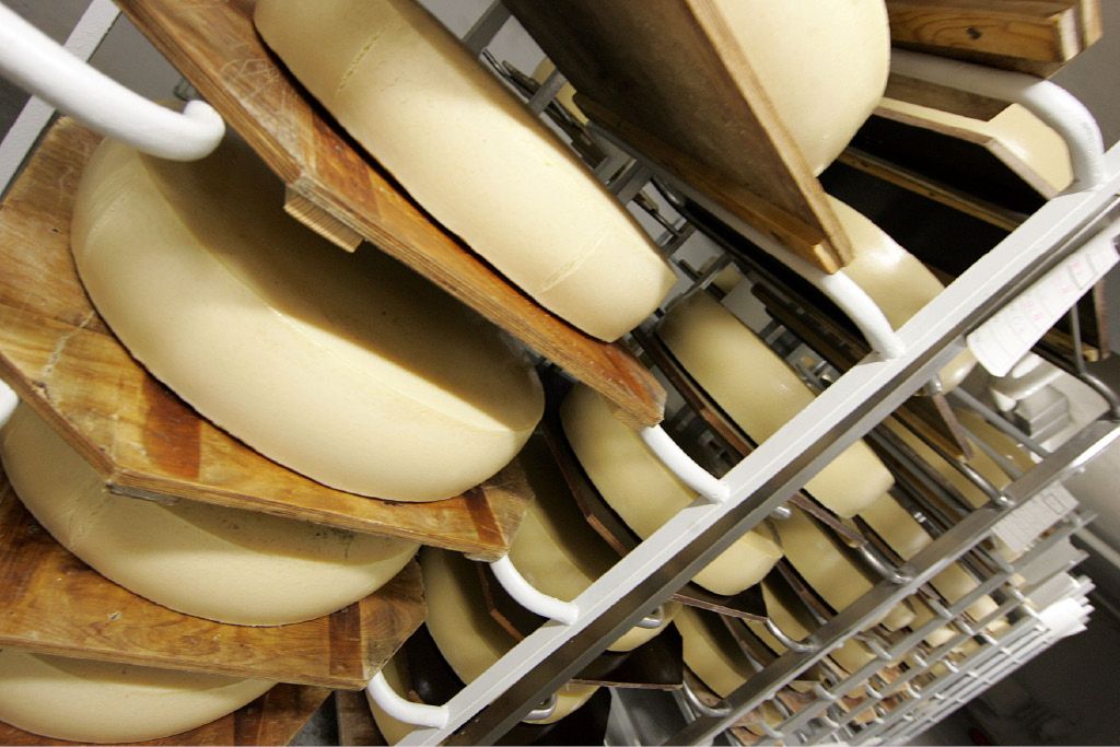 Bohinjski sir &ndash; dobro mleko, dober sir