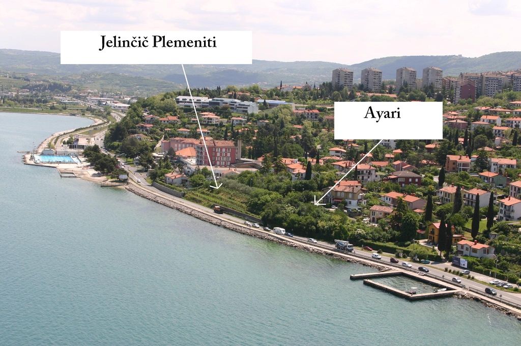 Soproga Jelinčiča na dražbi kupila zemljišče za 576 tisoč evrov