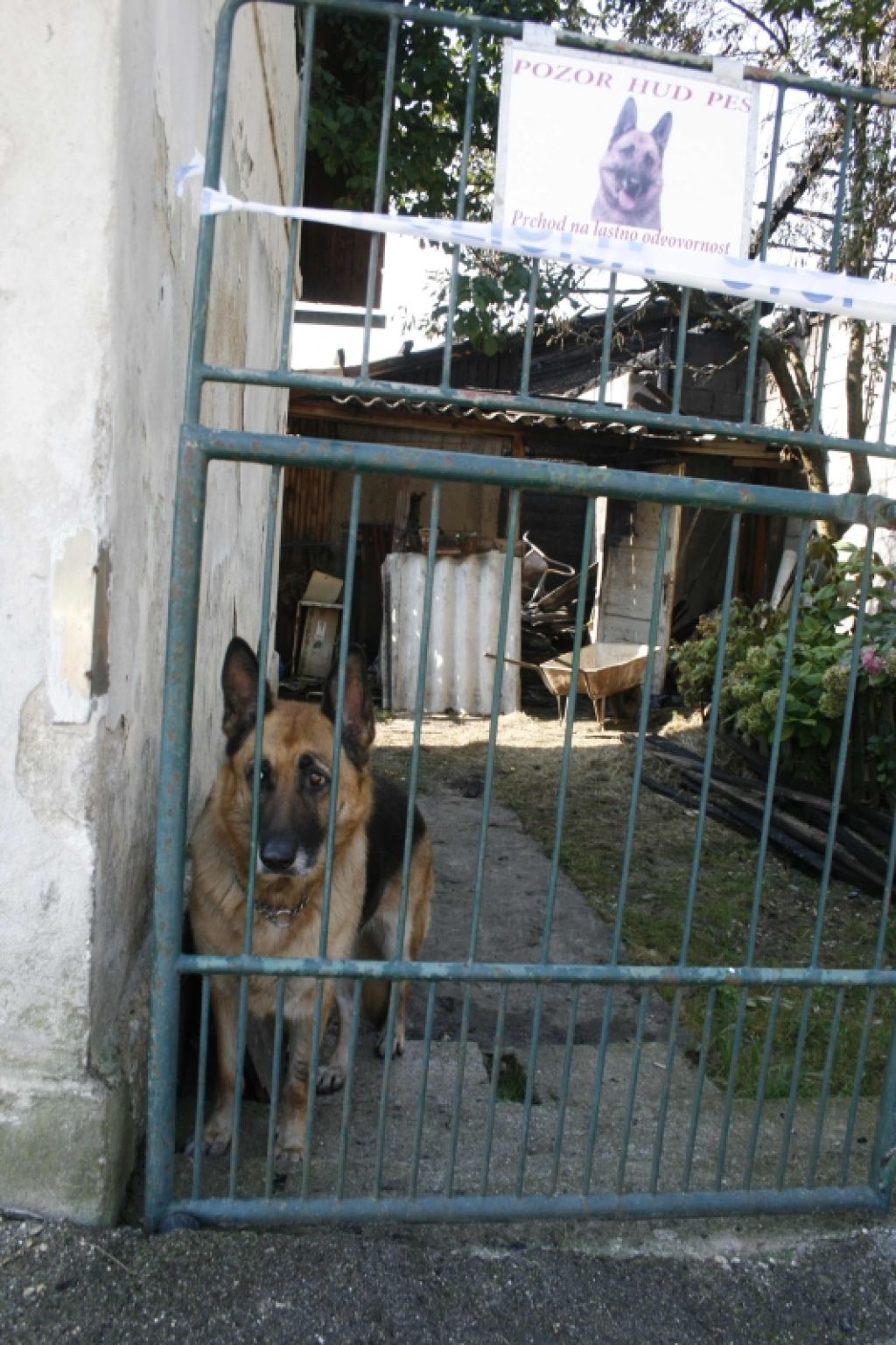 Francu (75) v hudem požaru zgoreli pasemski zajci in kokoši