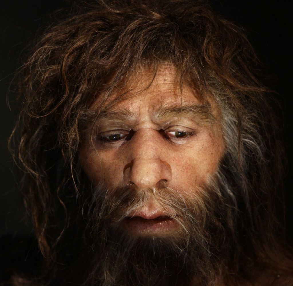 Neandertalci so preživeli do danes