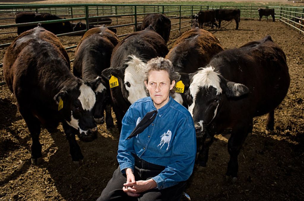 Temple Grandin, avtistka in poznavalka živali in ženska, ki misli kot krava
