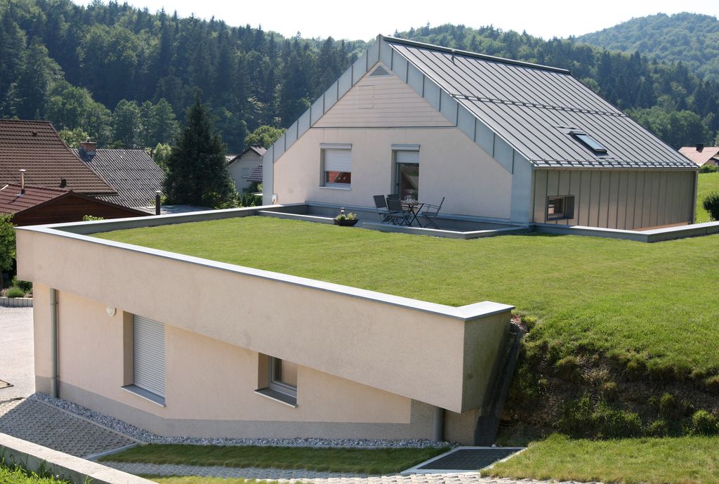 Deloindom: Zelena preproga nad glavo