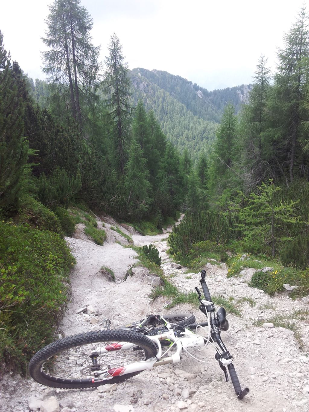 MTB namig za konec tedna: po poteh nad zgornjesavsko dolino