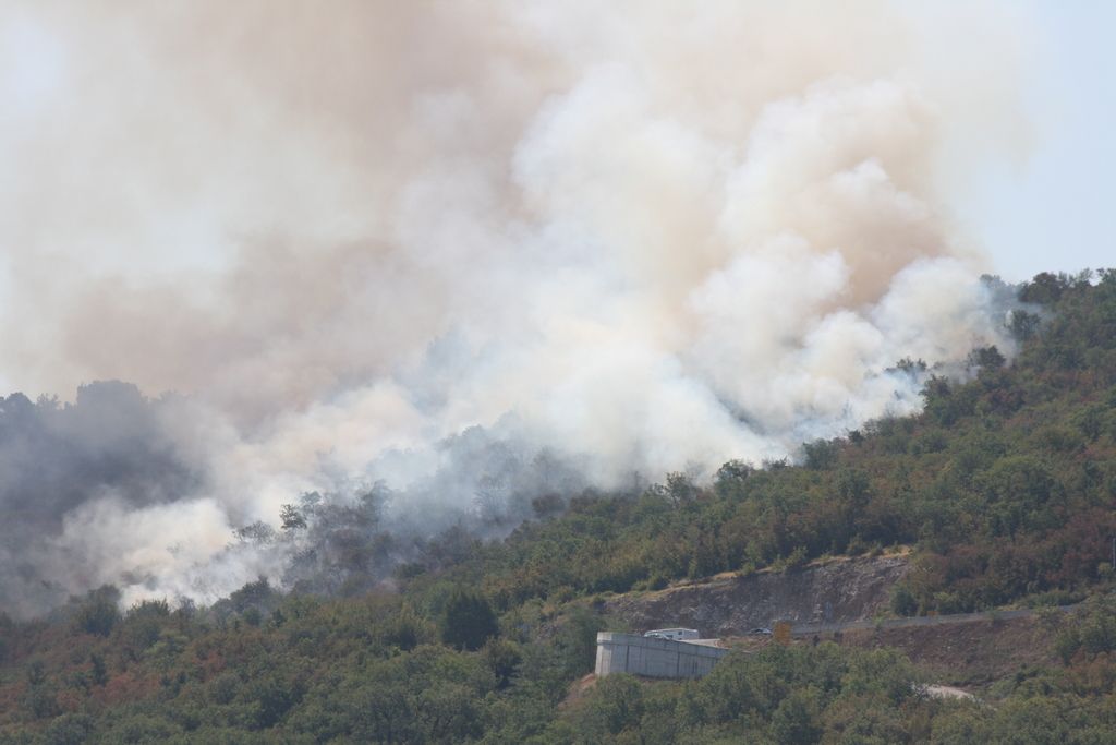 Ob mejnem prehodu Dragonja gozdni požar
