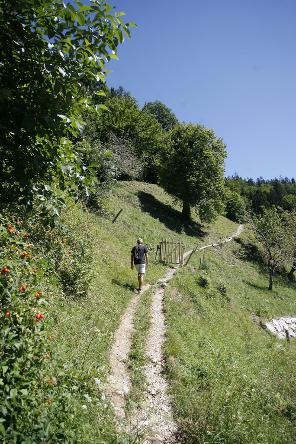 Gora, ki sta jo v smrtnem boju ustvarila velikana