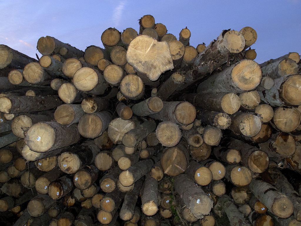 Tudi pri lesnih izdelkih vprašajmo za poreklo