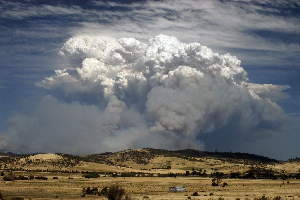 Po požarih na Tasmaniji pogrešajo okoli sto ljudi