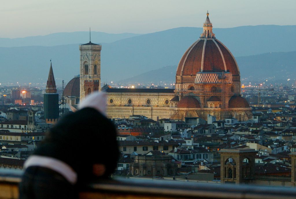 Je moral Brunelleschi poznati uradne liste iz tistih časov?
