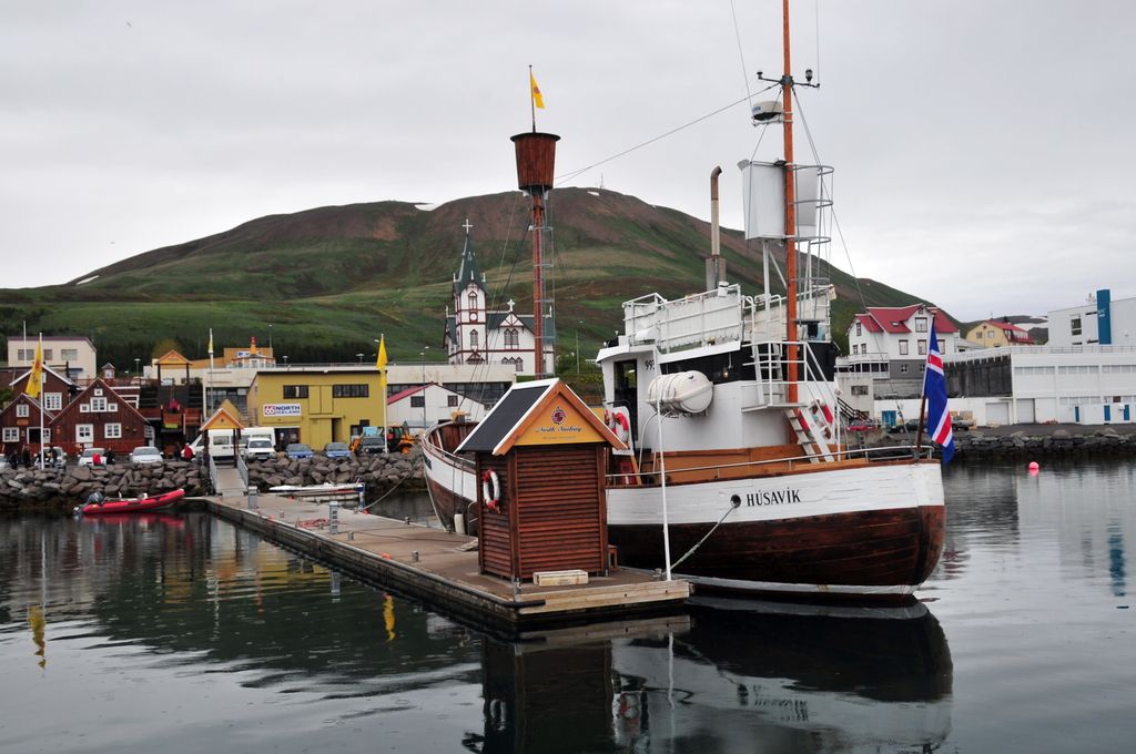 Od Islandije do Ekvadorja za kitom grbavcem