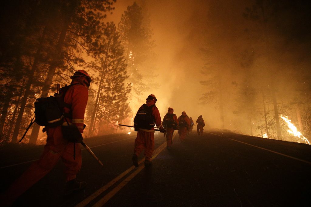 Požar v Kaliforniji bodo predvidoma ukrotili do 10. septembra
