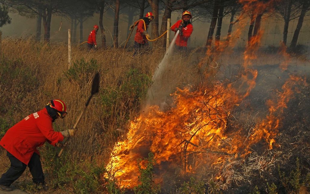 Po Portugalski še vedno divjajo požari v naravi