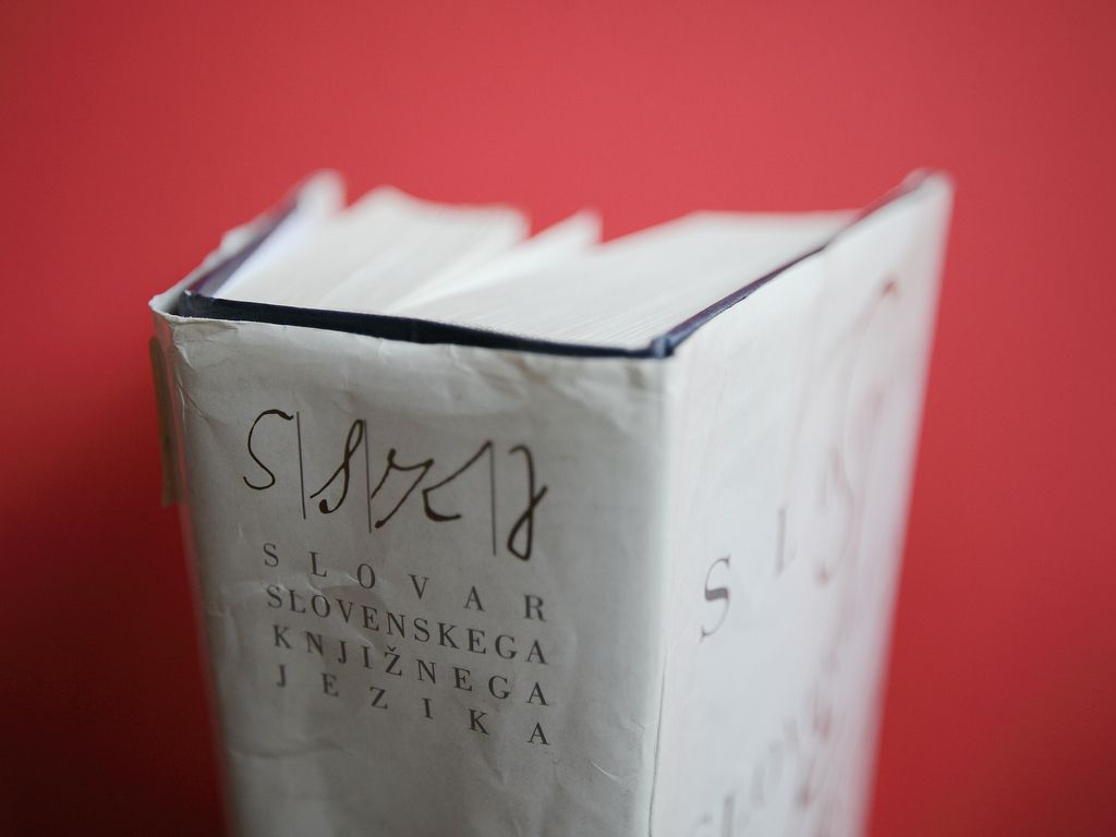 Kako se lotiti novega slovarja slovenskega jezika?