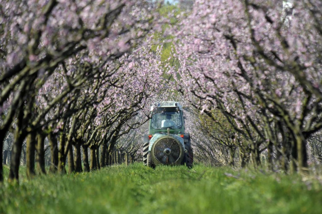 Prodaja pesticidov lani za 10,1 odstotka večja leto prej