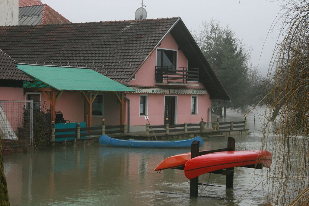 Kostanjevico na Krki od poplavne katastrofe ločilo pet centimetrov